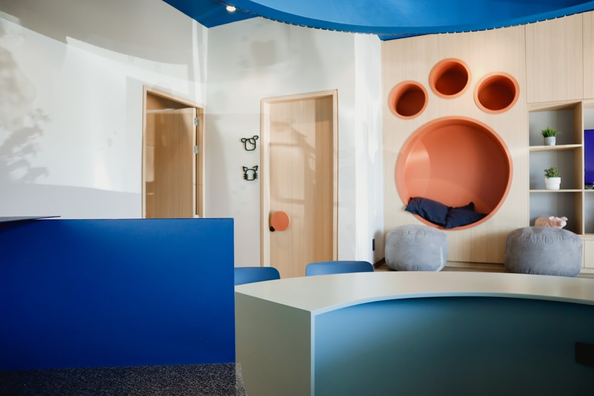 Funeraria SPIRITPAT Casita Funeraria Para Mascotas